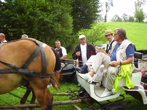 Florin Piersic, Danesti-Maramures